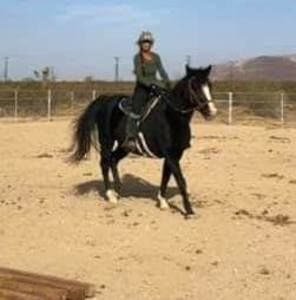 Meet your Posher, Eileen